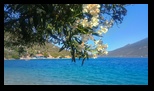 Kottesi Beach -06-07-2024 - Bogdan Balaban